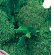 BROCCOLI MINI
